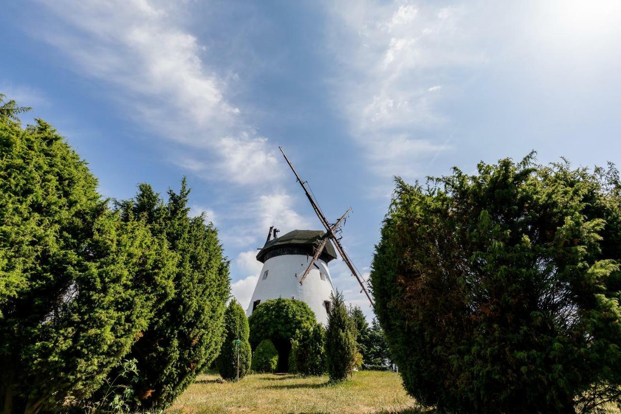 Windmill Vacation Home In Ledzin Near Baltic Sea นีคอร์เซ ภายนอก รูปภาพ