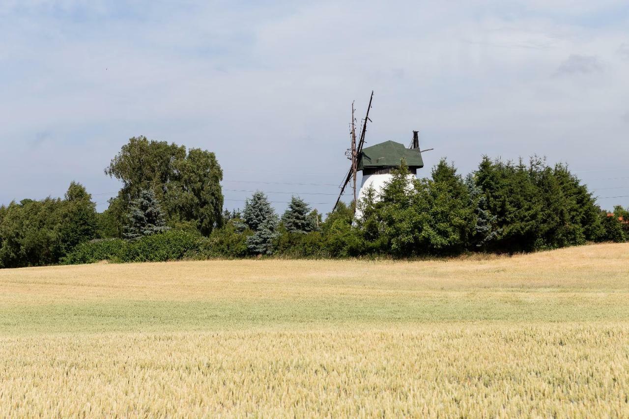 Windmill Vacation Home In Ledzin Near Baltic Sea นีคอร์เซ ภายนอก รูปภาพ