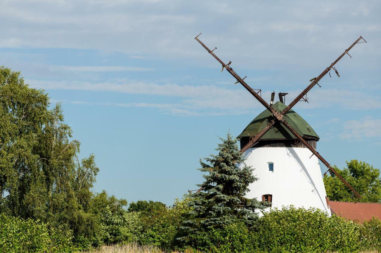 Windmill Vacation Home In Ledzin Near Baltic Sea นีคอร์เซ ภายนอก รูปภาพ