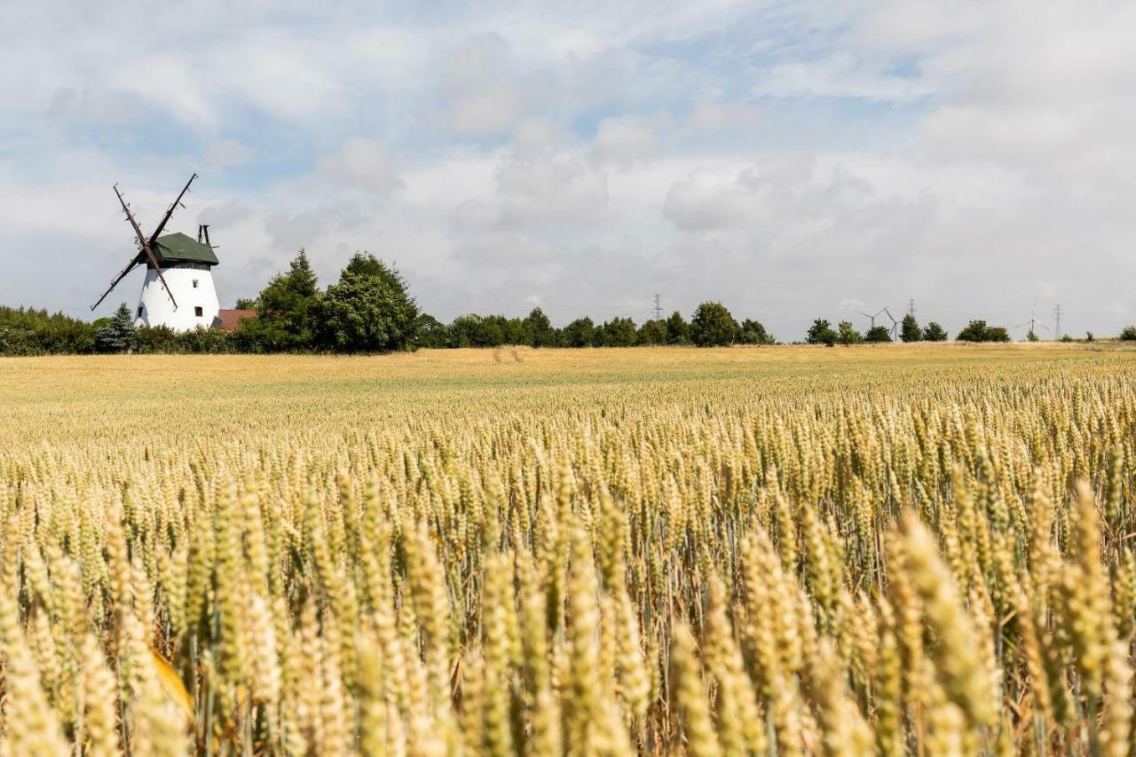 Windmill Vacation Home In Ledzin Near Baltic Sea นีคอร์เซ ภายนอก รูปภาพ